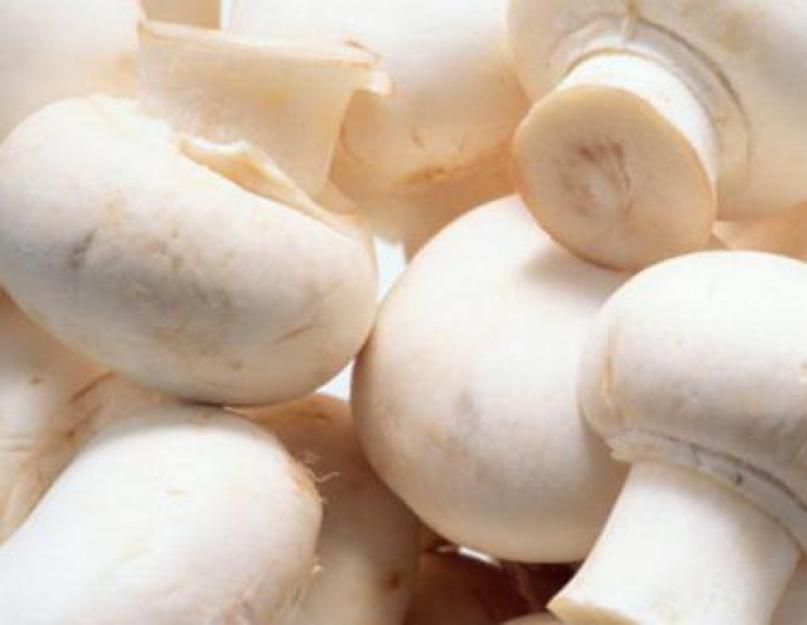 Comment congeler des champignons frais au congélateur.  Comment congeler des champignons bouillis pour l'hiver.  Température de congélation et durée de conservation