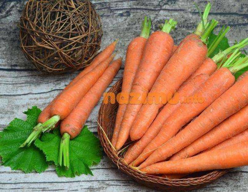 Сушеная морковь. Сушеная морковь — стружкой. В микроволновой печи