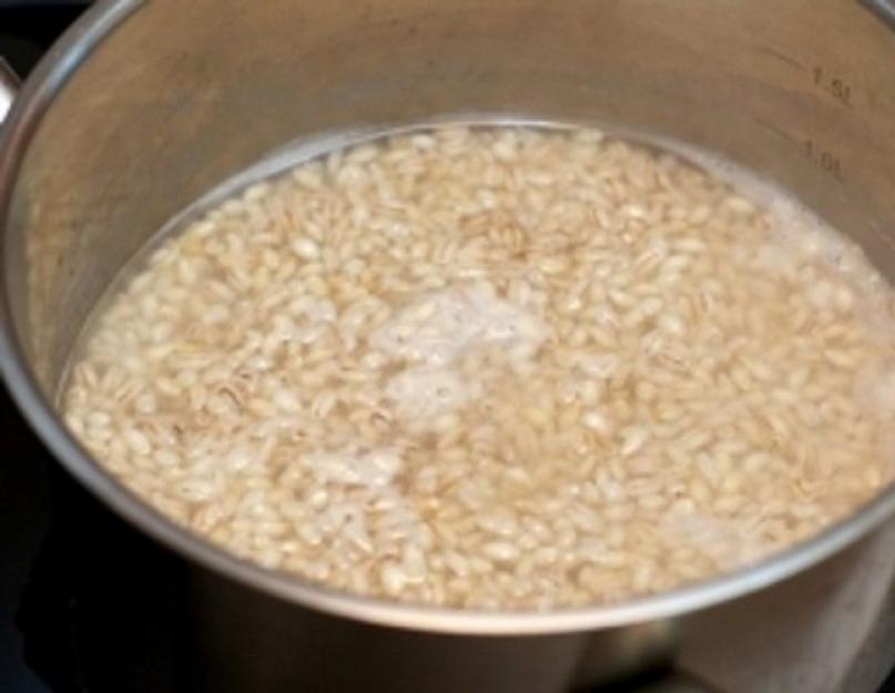 Rassolnik con cebada y encurtidos: cómo cocinar la sopa agria rusa original.  Encurtidos de Cuaresma con cebada Sopa de Cuaresma con cebada y encurtidos