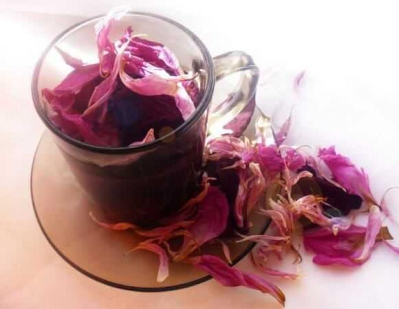 آیا می توان از گل رز چای تنتور درست کرد؟  گلبرگ های رز - اسرار و کاربردهای جالب در آرایش.  لیکور گل رز ساده