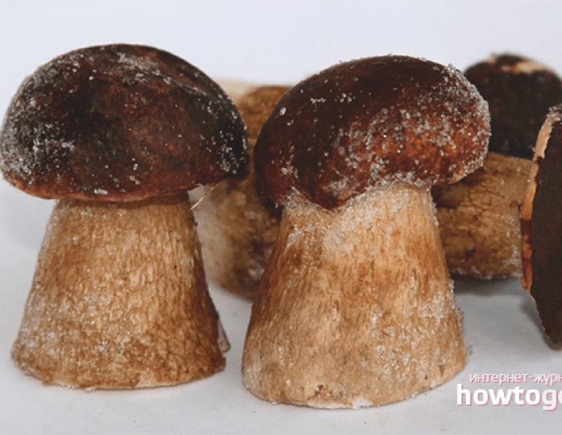 Как правильно заморозить белые грибы на зиму. Как правильно заморозить грибы