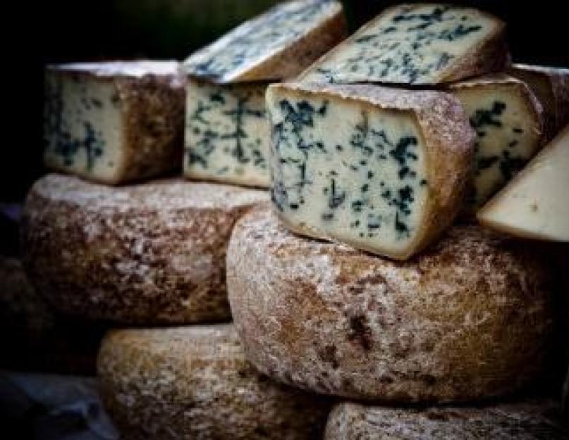 Чем сыр Рокфор полезен для здоровья? Вред сыра с плесенью. Предотвращает дисбактериоз и брожение в кишечнике