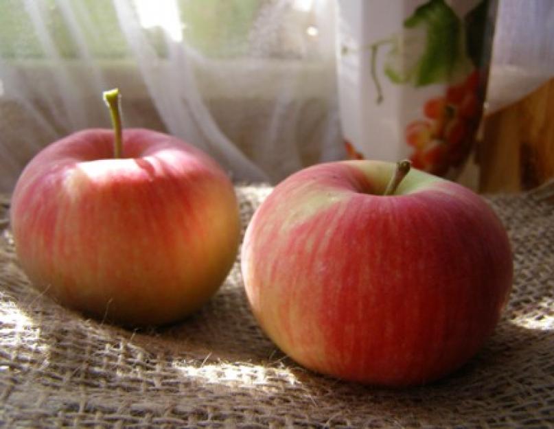 Яблоки дольками на зиму в домашних условиях. «Золотые рецепты» вкусных заготовок из яблок на зиму