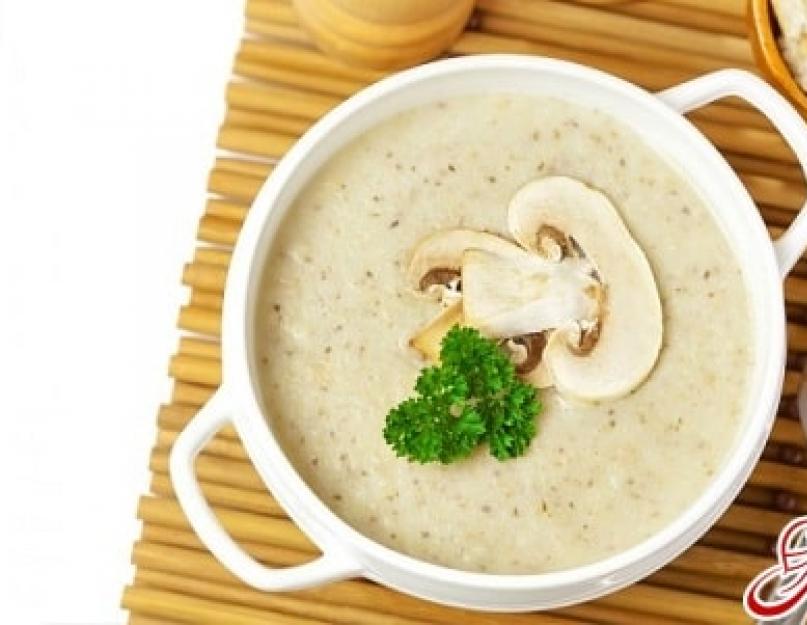 Как сварить вкусный грибной суп. Суп грибной из свежих грибов: рецепты. Ингредиенты для супа-пюре из шампиньонов