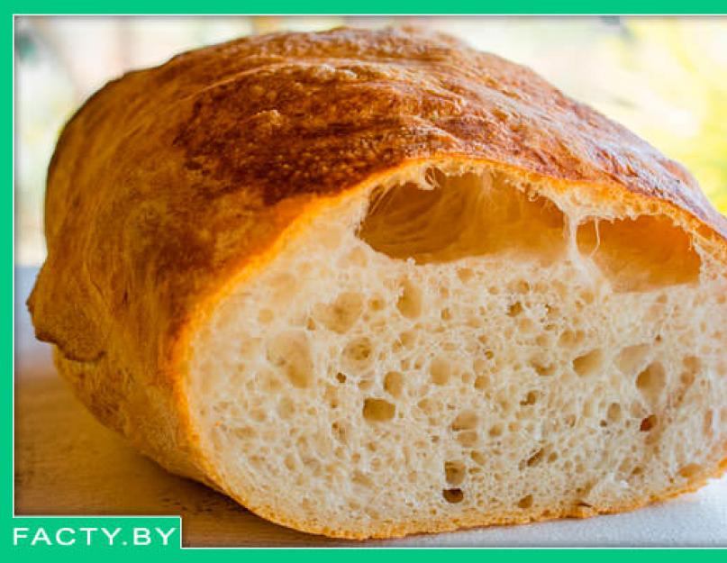 Интересные факты о хлебе и мучных изделиях. Интересное о хлебе