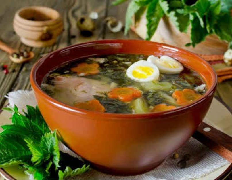 Суп из крапивы с яйцом — простые и замысловатые рецепты. Сытный суп с крапивой, рисом и яйцом