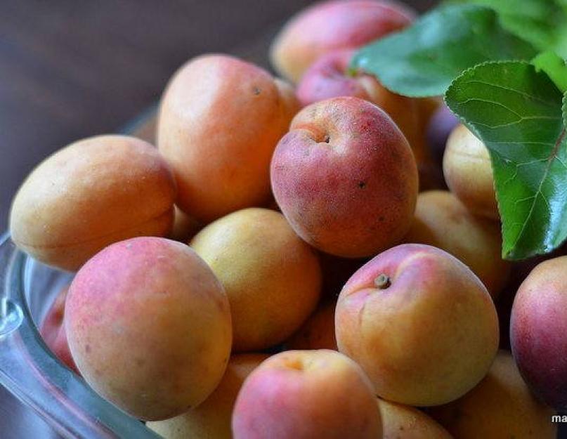 Как сварить варенье из абрикос без косточек: самые вкусные рецепты абрикосового варенья на зиму. Как варить абрикосовое варенье (быстро)