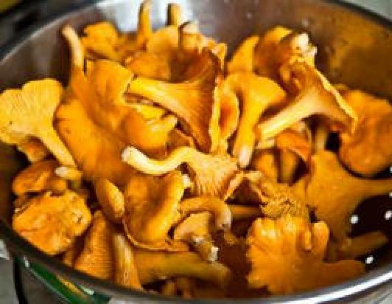 Méthodes de préparation des girolles surgelées.  Trois meilleures façons de congeler les girolles pour l'hiver