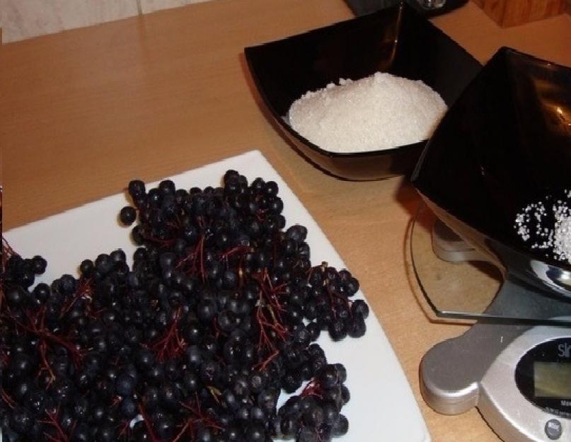 Черноплодная рябина на зиму ‒ лучшие рецепты с подробным описанием. Изюм из черноплодной рябины – наш вкусный и полезный десерт