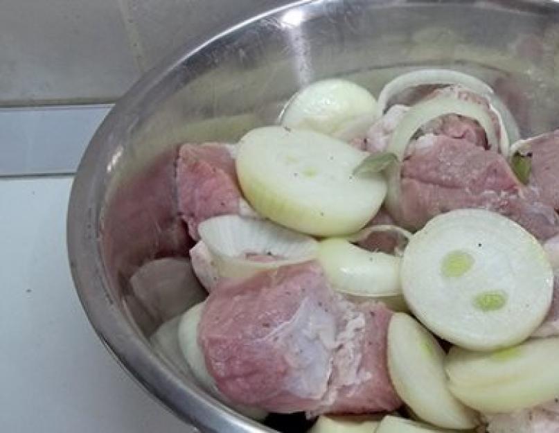 На какой температуре жарить шашлык в духовке. Шашлык в духовке из свинины: рецепты