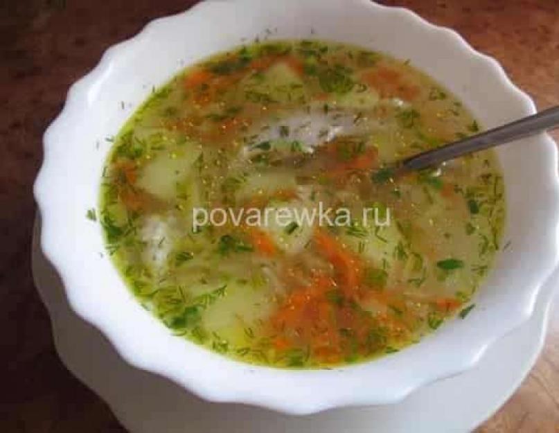 Как готовится суп лапша. Как вкусно приготовить куриный суп с лапшой