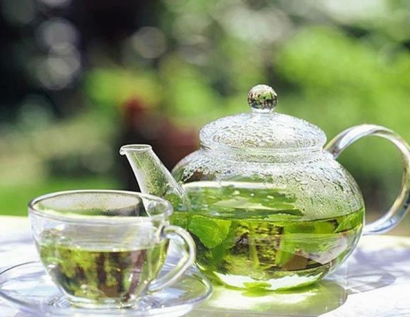 Зелёный чай с мятой — уникальное успокоительное средство. Чем полезен мятный чай