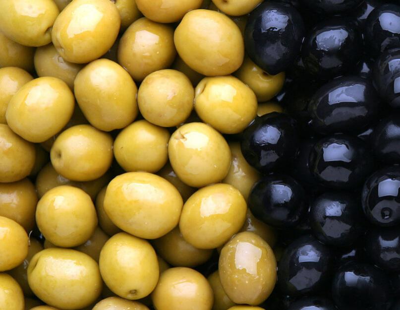 Олива и маслины в чем отличие. Чем отличаются маслины от оливок. Маслины и похудание