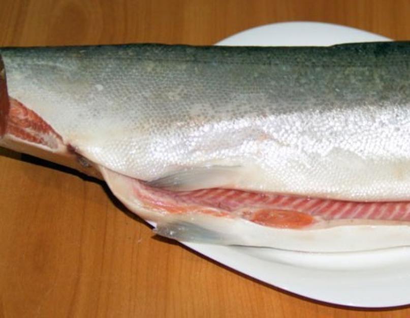 Кижуч рыба: фото, как приготовить, как засолить, полезные свойства и рецепты. Кижуч - рецепты приготовления