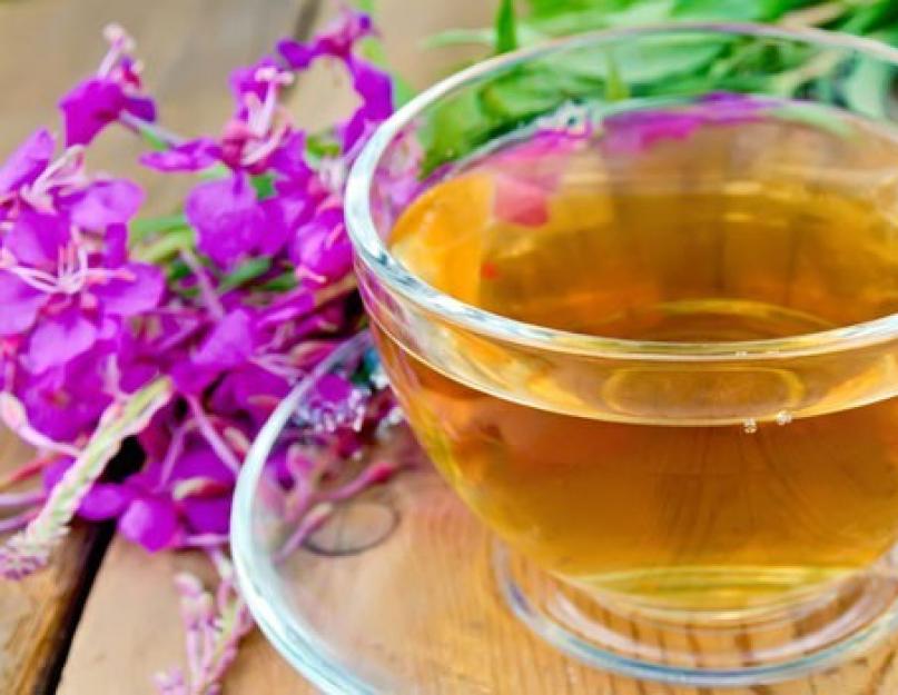 Иван чай: полезные свойства и противопоказания. С липой и мать-и-мачехой. Копорский чай из кипрей-травы