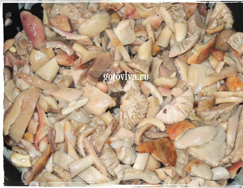 Рецепты приготовления грибов сыроежек. Как приготовить сыроежки жареные с картошкой