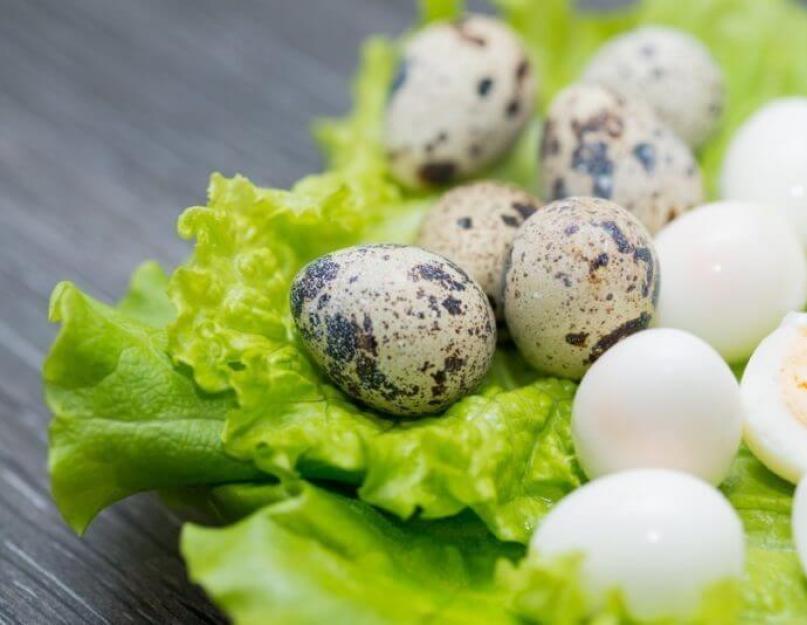 Что можно готовить с перепелиными яйцами. Что можно приготовить из перепелиных яиц