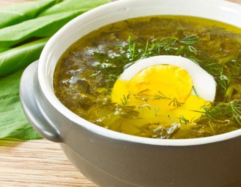 Суп из щавеля. Щавелевый суп с яйцом: рецепты приготовления