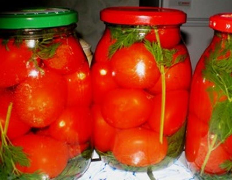 Чем полезна морковная ботва? Рецепты маринованных помидоров с морковной ботвой на зиму на литровую банку и срок хранения
