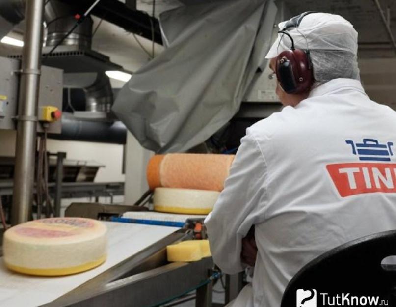 Норвежский сыр Jarlsberg. Как приготовить сыр из козьего молока в домашних условиях по рецепту с фото Сыр ярлсберг