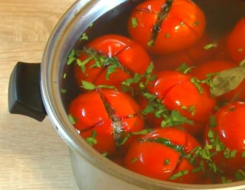 Соление помидор быстрого приготовления. Как быстро засолить вкусные помидоры