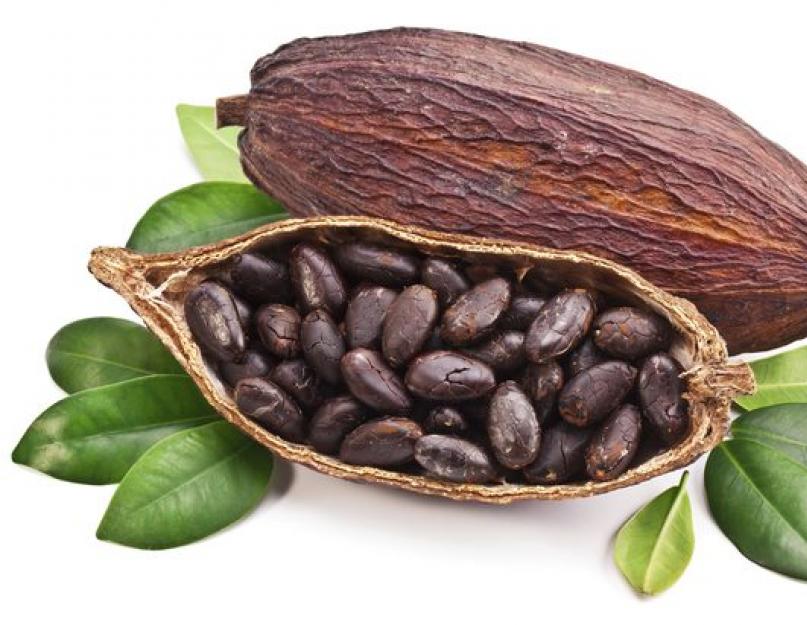 Масло какао полезные свойства. Полезные свойства масла какао для красоты и почему индейцы так полюбили чоколатль. Применение какао масла в косметологии
