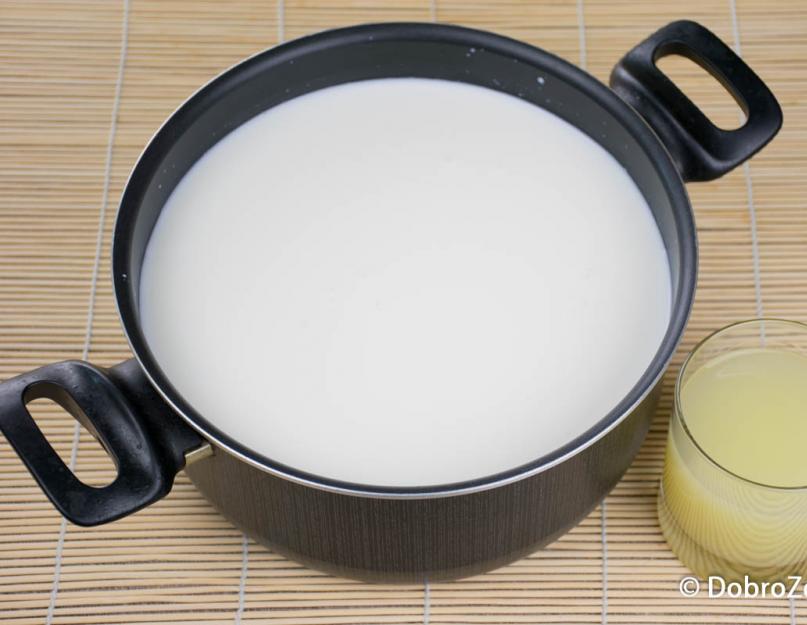 Сыр из молока и масла. Как сделать сыр из молока своими руками: мягкий и твёрдый. Рецепты сыров из молока в домашних условиях и технология. Домашний сыр маскарпоне