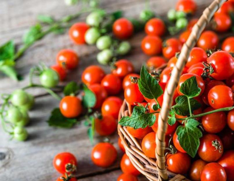 Recette de tomates cerises légèrement salées avec photos étape par étape.  Tomates légèrement salées en sachet avec de l'ail - recettes de cuisine rapides