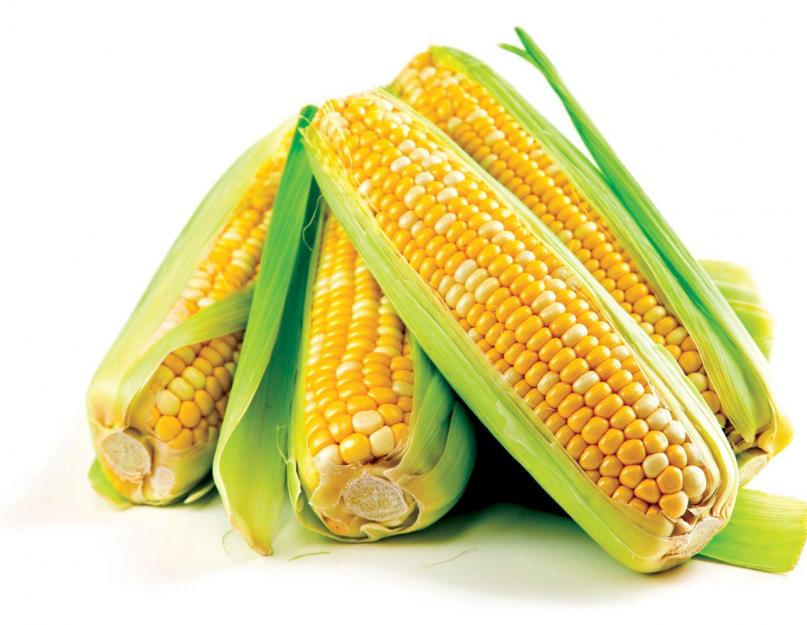 Початок вареной кукурузы. Особенности и секреты варки старой кукурузы