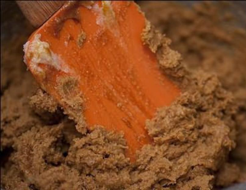 Comment décorer joliment des biscuits en pain d'épice avec du glaçage.  Comment faire un glaçage aux cookies.  Proportions d'ingrédients pour le glaçage à la marmelade