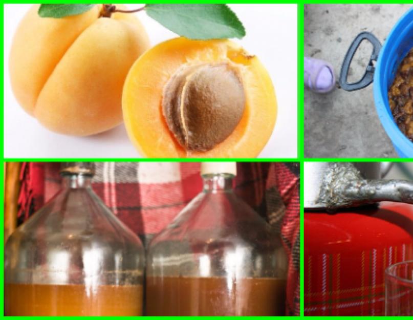 Как приготовить самогон из абрикосов без дрожжей и сахара? Самогон из абрикосов: секреты приготовления