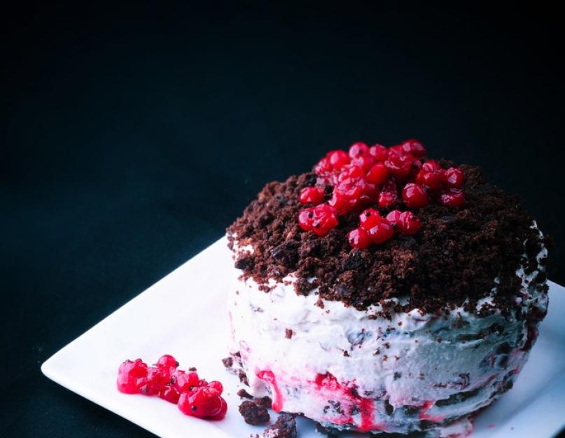  Торт с красной смородиной и шоколадным кремом