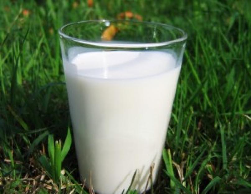 Безопасность молочных продуктов. Каким бывает молоко? Виды молока и молочных продуктов