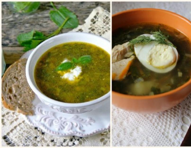 Суп из крапивы рецепты просто и вкусно. Суп с крапивой и яйцом. Как сварить суп из крапивы без мяса с клецками