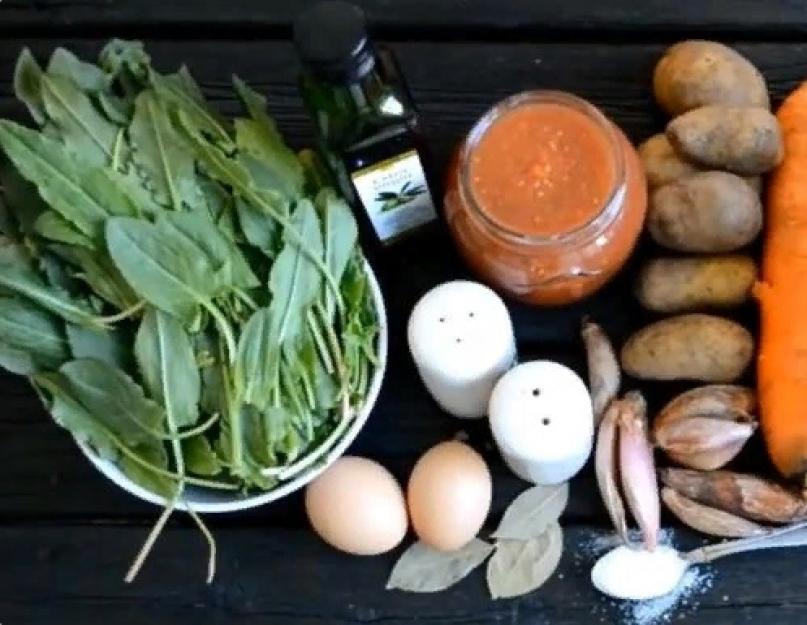 Как правильно приготовить зеленый борщ из щавеля? Классический зеленый борщ с щавелем и яйцом рецепт с фото