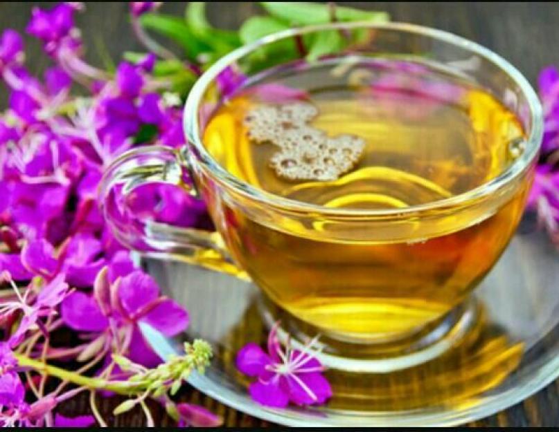 Иван чай: лечебные, полезные свойства и противопоказания для мужчин и женщин. Иван-чай (кипрей узколистный) – полезные свойства, состав, применение в медицине. Рецепт копорского чая