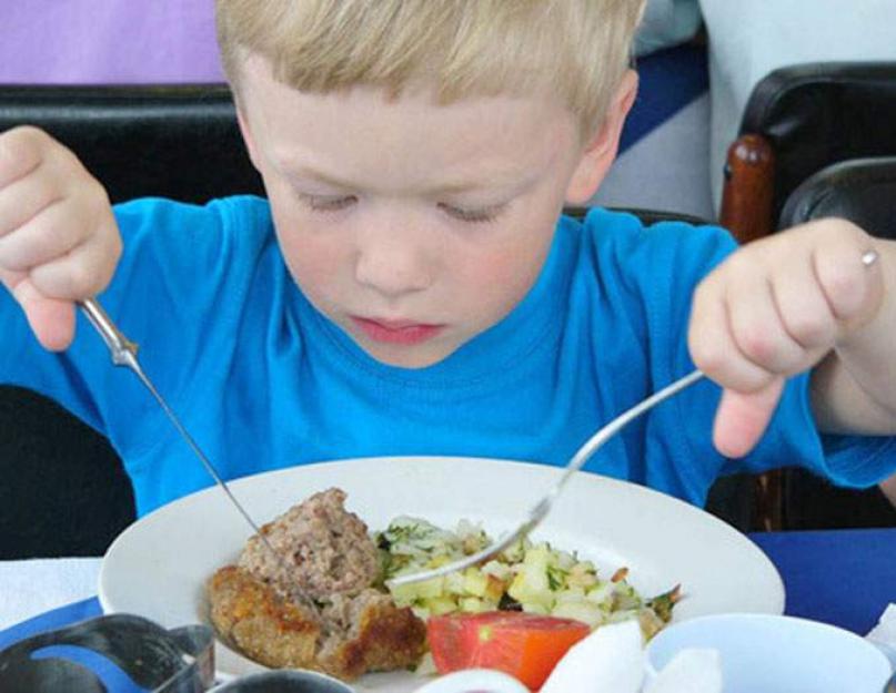 Repas dans le train pour 2 personnes. Plats faits maison.  Exemple de menu dans le train