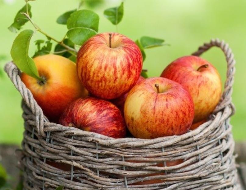 Раскрываем секреты, как сделать яблочный сок. Как сделать свежевыжатый яблочный сок в домашних условиях? Натуральный яблочный сок — польза и вред