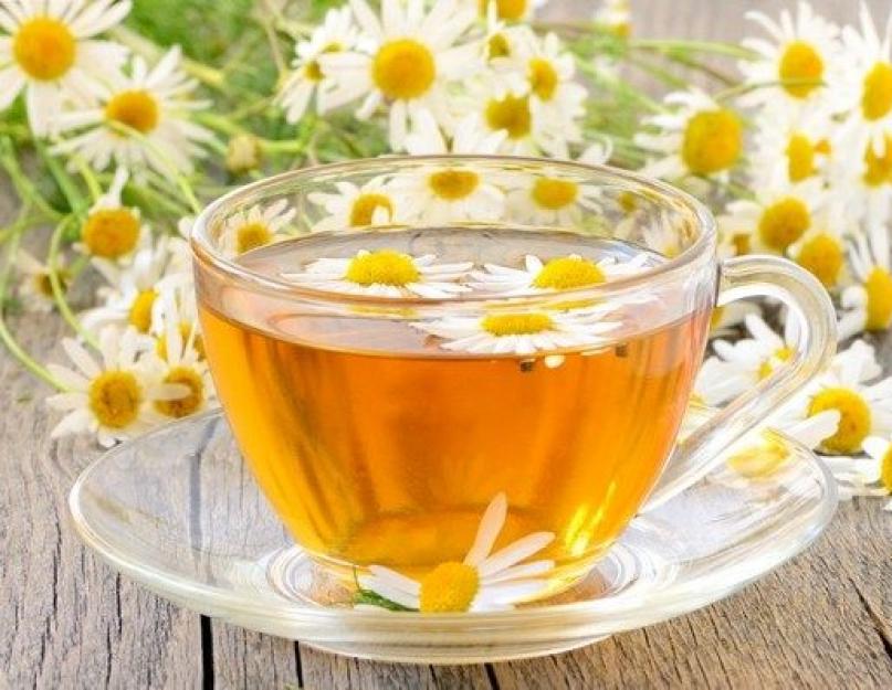 Чай ромашковый: полезные свойства и противопоказания. Свойства ромашкового чая. Ромашковый чай: польза и вред, лечебные рецепты приготовление