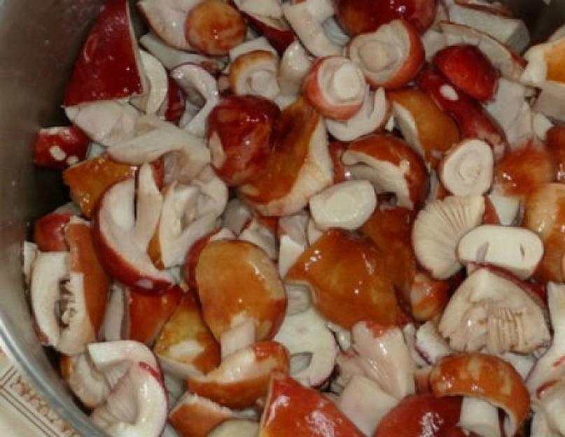 Вкусные изыски и разнообразие: гастрономические загадки сыроежек