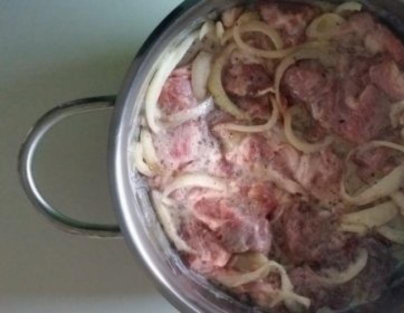 Как быстро замариновать шашлык из свинины - рецепты. Как вкусно замариновать шашлык из свинины, чтобы мясо получилось сочным и мягким. Как замариновать мясо для шашлыка