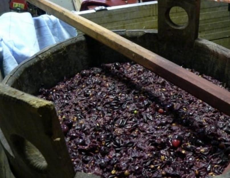 Comment préparer du vin à la maison.  Bonne préparation du vin à la maison.  Recette de vin aux raisins maison