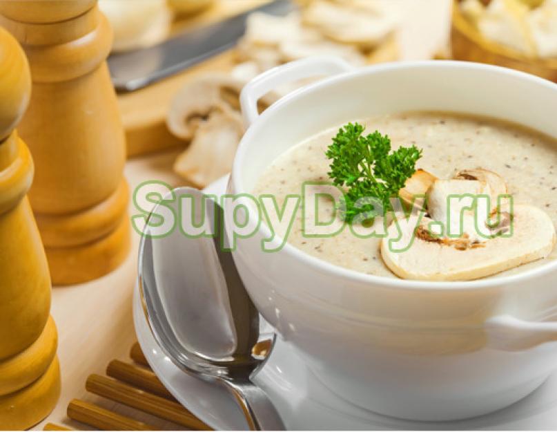 Суп из замороженных грибов со сливками. Грибной суп с плавленым сырком. Рецепты приготовления супов из белых грибов со сливками