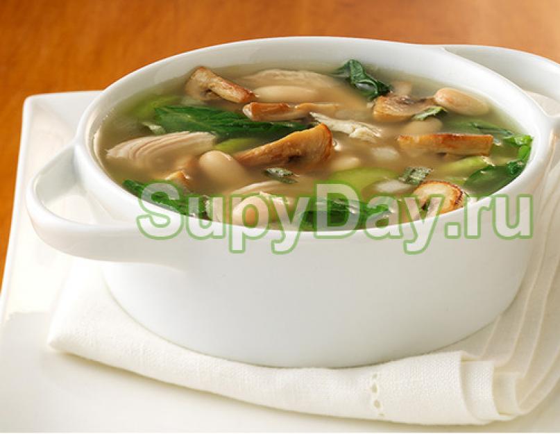 Грибной суп с курицей и картошкой рецепт. Куриный суп с грибами. Грибной суп с курицей: калорийность блюда