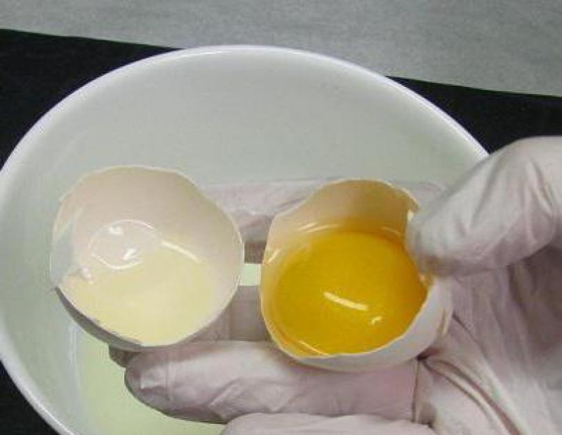 Крем с яйцом и сахаром. Как сделать крем из яиц и сахара