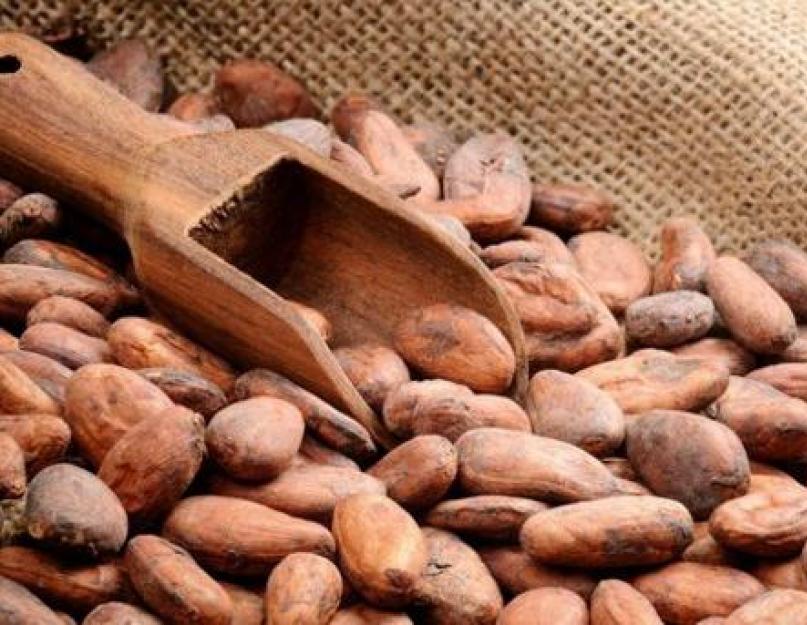 Какао бобы лечебные свойства и противопоказания? Какао бобы