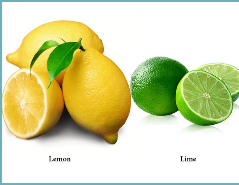 Зеленый лимон от лайма чем отличается? Различия и сходство. Чем отличается лимон от лайма? Как их отличить