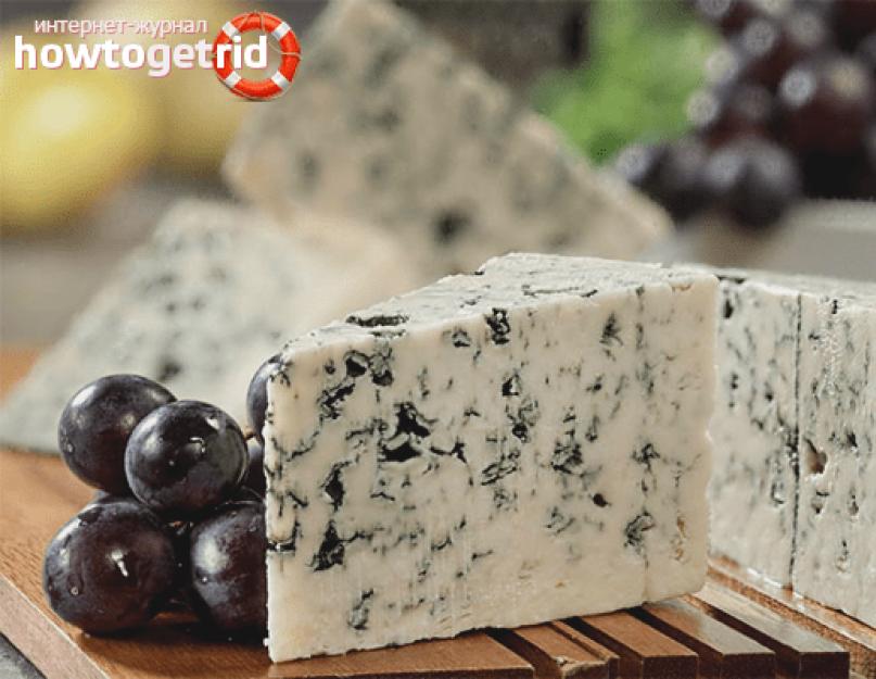 Рецепт сыра из творога. Как сварить вкусный сыр из творога в домашних условиях. Творожный вареный сыр с плесенью