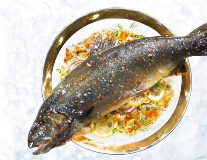 Как приготовить рыбу голец на сковороде. Рыба голец - яркое блюдо из северных широт