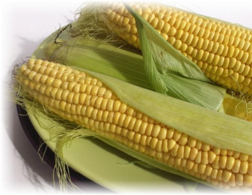 Можно ли хранить вареную кукурузу в воде. Как хранить початки кукурузы в домашних условиях. Заморозка овоща в домашних условиях - полезные советы